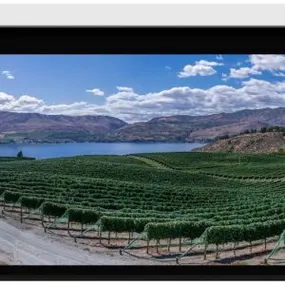 Stewart Filmscreen Cima BC 16:9 (HD) Retractable Below Ceiling Projector - Dreamedia AV