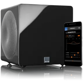 SVS 3000 Micro - Dreamedia AV