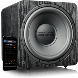 SVS SB-1000 Pro Subwoofer - Dreamedia AV